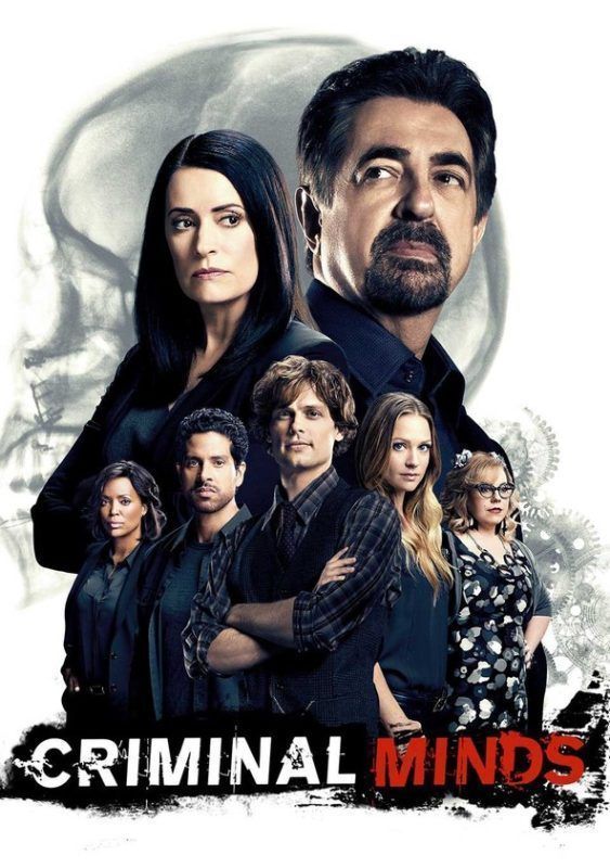 Animal Kingdom Temporada 6 Estreno España